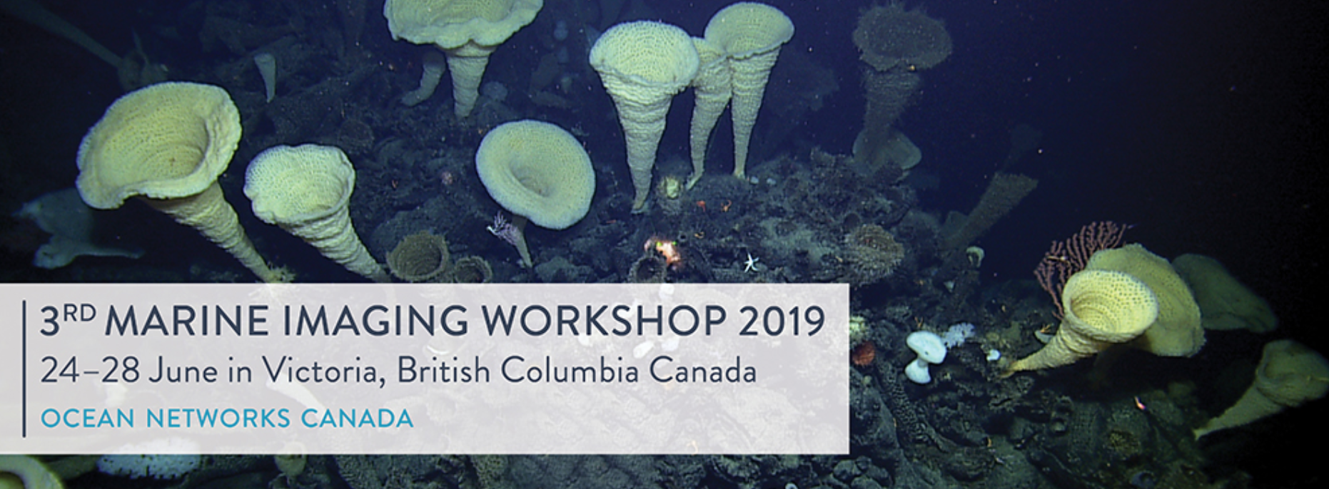 Screen Shot 2019-05-15 at 15.44.09