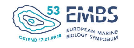 Screen Shot 2019-05-15 at 15.49.21